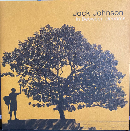 Jack Johnson : In Between Dreams (LP, Album, RP, 180)