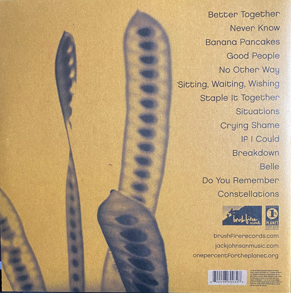 Jack Johnson : In Between Dreams (LP, Album, RP, 180)