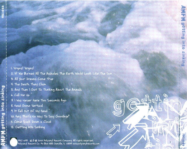 AM/FM : Getting Into Sinking (CD, Album)