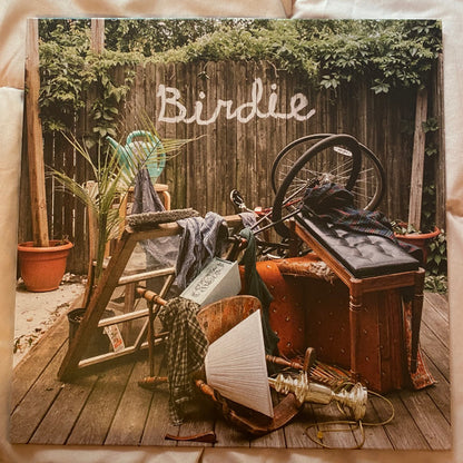Slaughter Beach, Dog : Birdie (LP, Album, RP, Oli)
