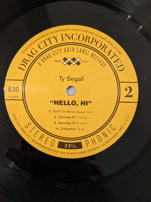 Ty Segall : "Hello, Hi" (LP, Album)