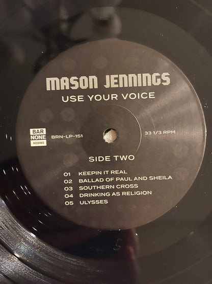 Mason Jennings : Use Your Voice (LP, Album)