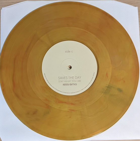 Saves The Day : Stay What You Are (2x10", RE, Tra)