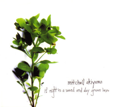 Mitchell Akiyama : If Night Is A Weed And Day Grows Less (CD, Album)