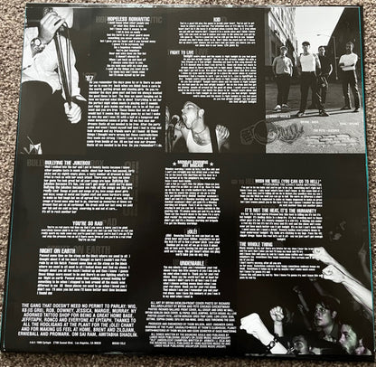 The Bouncing Souls : Hopeless Romantic (LP, Album, RP)