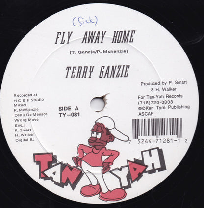 Terry Ganzie / Buccaneer : Fly Away Home / Poppy Show (12")