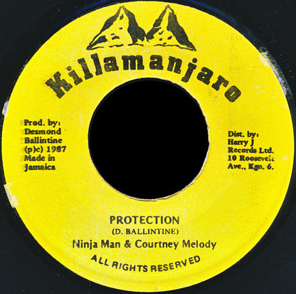 Ninjaman & Courtney Melody : Protection (7")