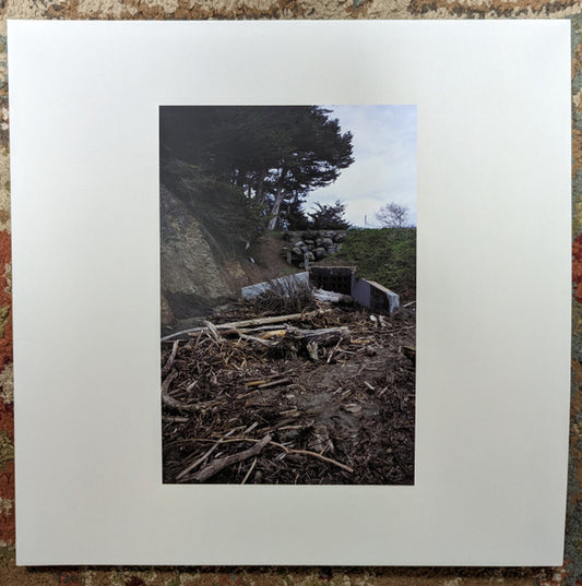 Mac Demarco : Five Easy Hot Dogs (LP,Album,Stereo)