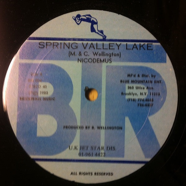 Ken Boothe / Nicodemus : I Will / Spring Valley Lake (12")