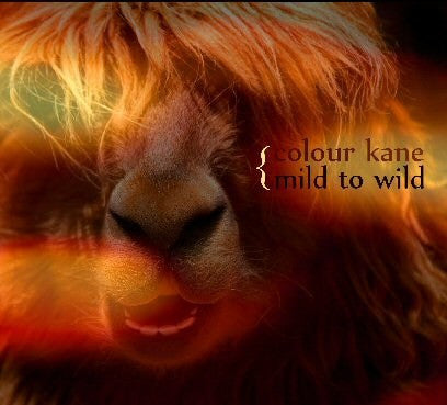 Colour Kane : Mild To Wild (CD, Album)