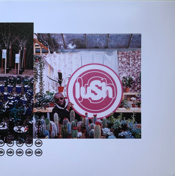 Lush : Lovelife (LP, Album, Ltd, RE, RM, Cle)