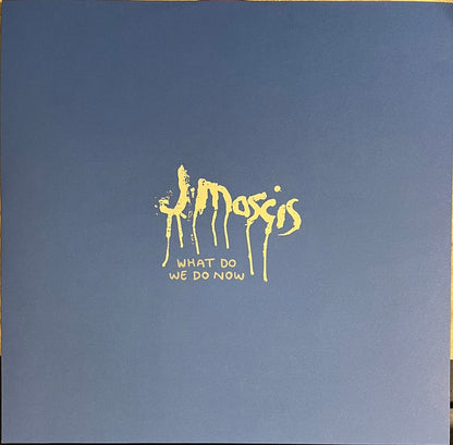 J Mascis : What Do We Do Now (LP, Ltd, Los)