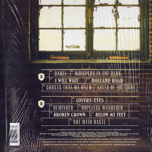 Mumford & Sons : Babel (LP, Album, Gat)