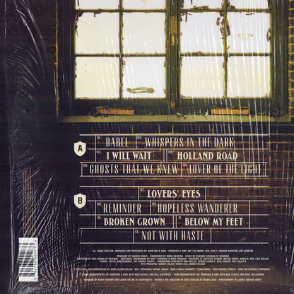 Mumford & Sons : Babel (LP, Album, Gat)