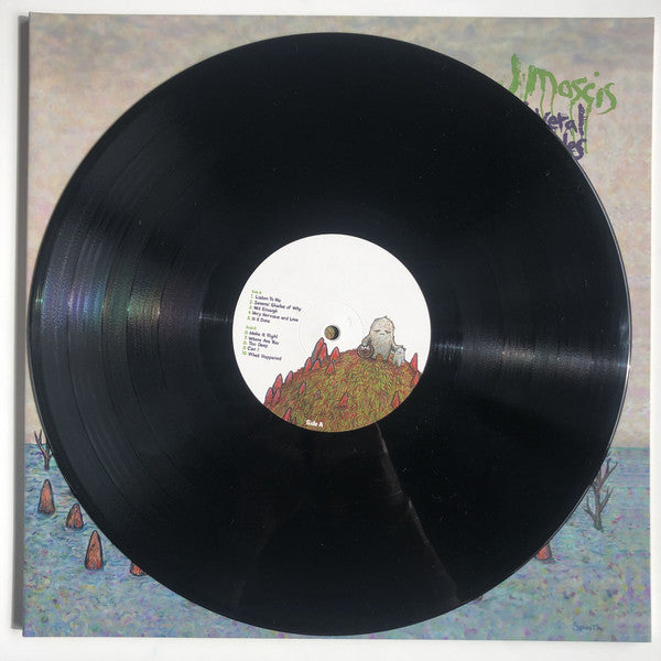 J Mascis : Several Shades Of Why (LP, Album)