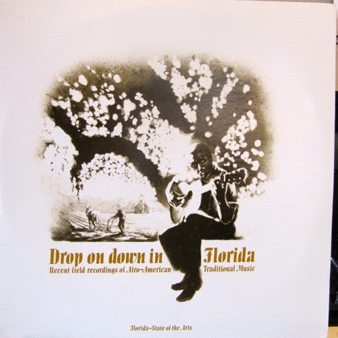 Various : Drop On Down In Florida (2xLP, Album)