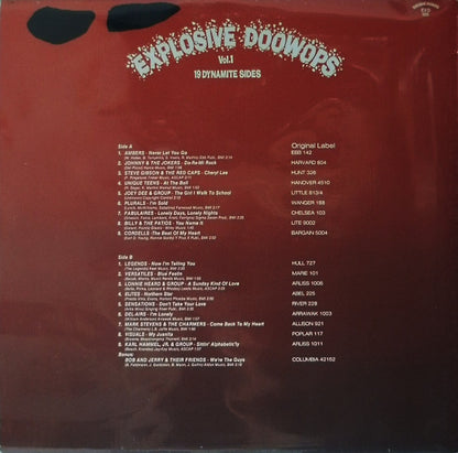 Various : Explosive Doowops Vol. 1 - 19 Dynamite Sides (LP, Comp)