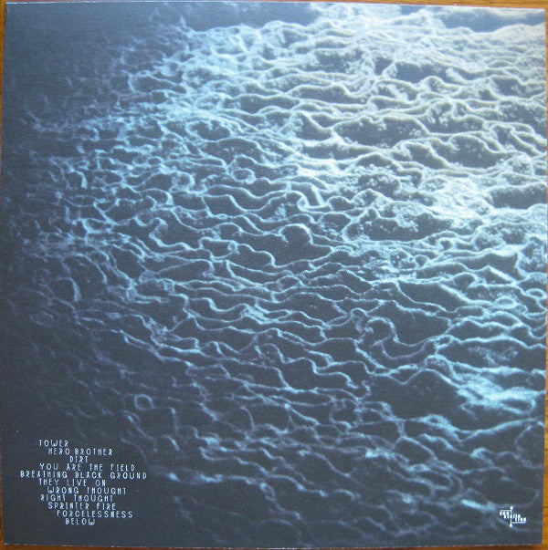 Sarah Neufeld : Hero Brother (LP, Album, 180)