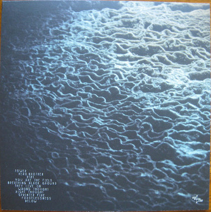 Sarah Neufeld : Hero Brother (LP, Album, 180)