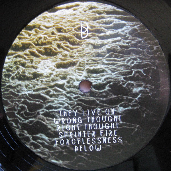 Sarah Neufeld : Hero Brother (LP, Album, 180)