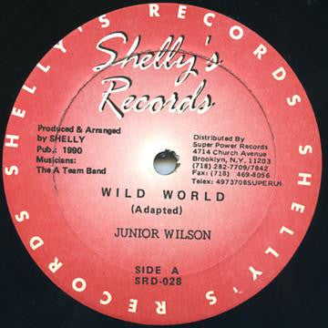 Junior Wilson : Wild World (12")