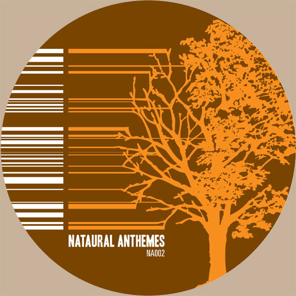 Various : Antheme 02: Studies In Detailed Design (12")