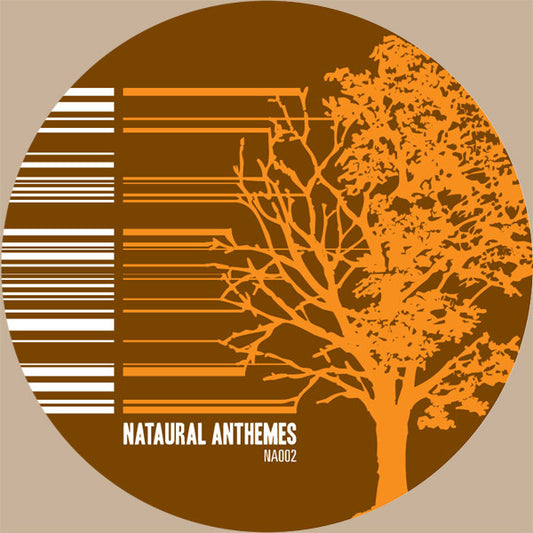 Various : Antheme 02: Studies In Detailed Design (12")