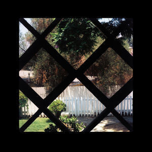Psychic Temple : III (LP, Album, Gat)