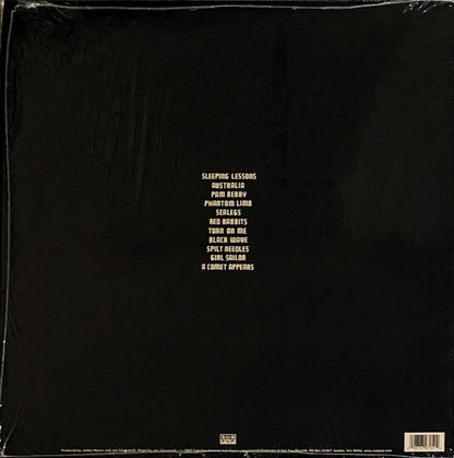 Shins, The : Wincing the Night Away (LP,Album,Reissue)